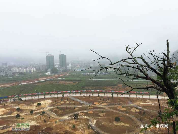 小城天空雾迷蒙，燕子翻飞细雨中。 - 靖西网