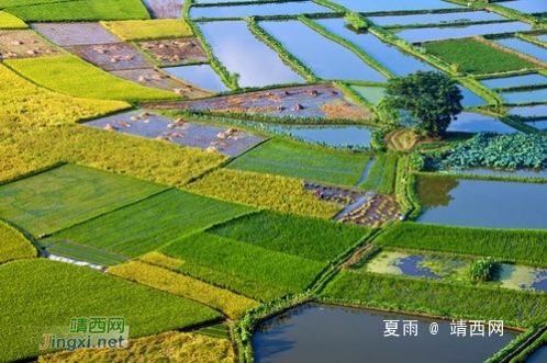 我的家乡在靖西的一个依山傍水小村庄,是个淳朴自然、清雅静美的地方 - 靖西网 我的家乡在靖西的一个依山傍水小村庄,是个淳朴自然、清雅静美的地方 - 靖西网