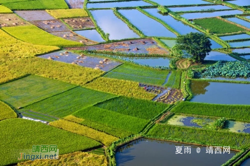 我的家乡在靖西的一个依山傍水小村庄，是个淳朴自然、清雅静美的地方 - 靖西网