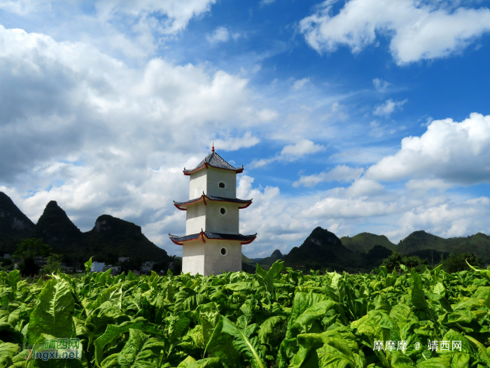 美景需要多介绍，再拍鲁利边江屯白塔。 - 靖西网