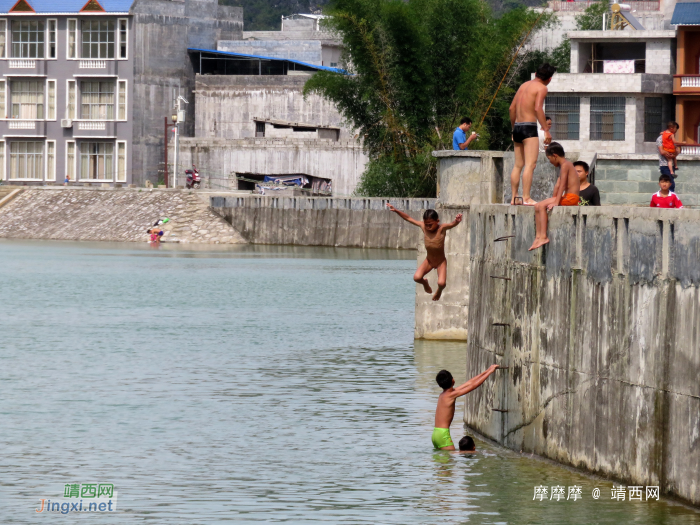 小屁孩大胆量，龙潭坝上潇洒跳水。 - 靖西网