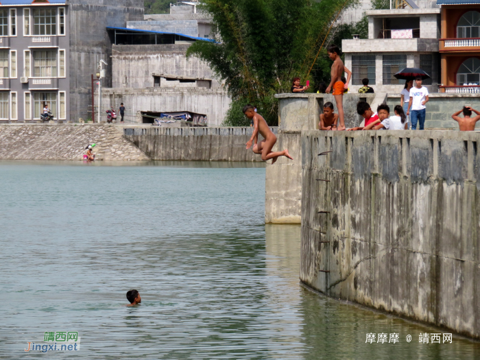 小屁孩大胆量，龙潭坝上潇洒跳水。 - 靖西网