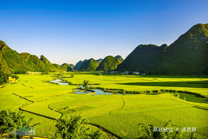 发现靖西之美，海量图片，很多视角都很新鲜！ - 靖西网