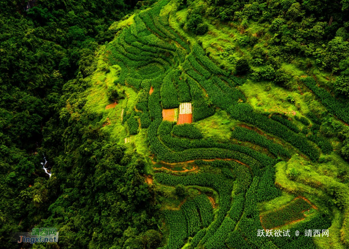 发现靖西之美，海量图片，很多视角都很新鲜！ - 靖西网