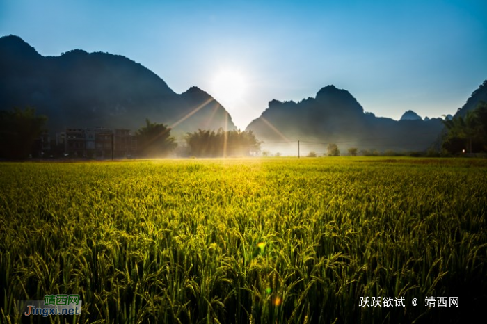 发现靖西之美，海量图片，很多视角都很新鲜！ - 靖西网 - 第4页