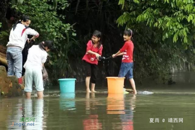 童趣：童年是一片初发的绿叶,是一朵含苞待放的花蕾,是一首清新的. - 靖西网