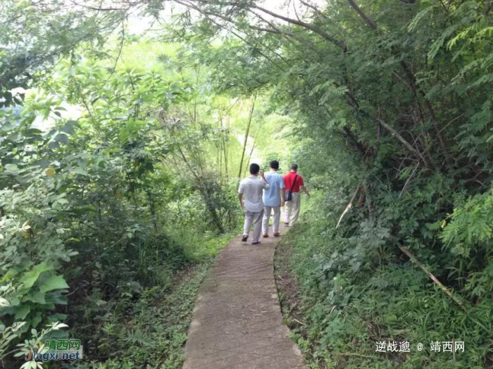 神奇的巴马，美丽的风景，跟神奇的靖西比怎么样？ - 靖西网