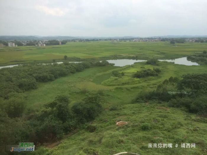 看太多山景，这样的风景别样美！ - 靖西网