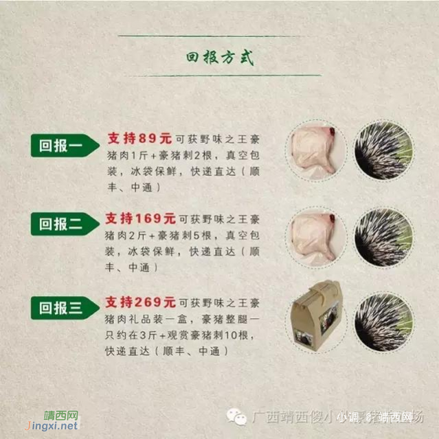 豪猪--营养价值高，还有药用价值 - 靖西网