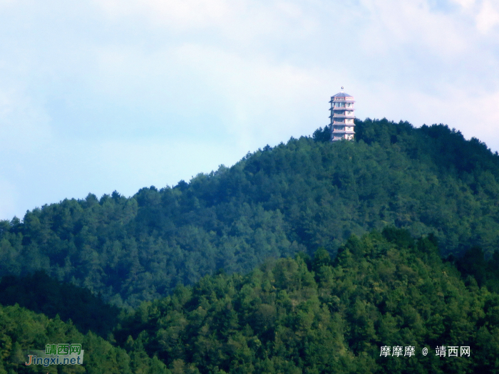 爬金山，眺望五岭森林公园观光塔。 - 靖西网