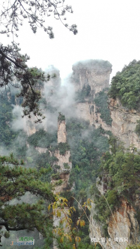 和同事的张家界上山下海游记 - 靖西网