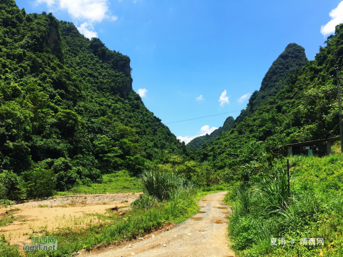 寂静的山里：群蝉越噪林逾静，一鸟不鸣山更幽。 - 靖西网