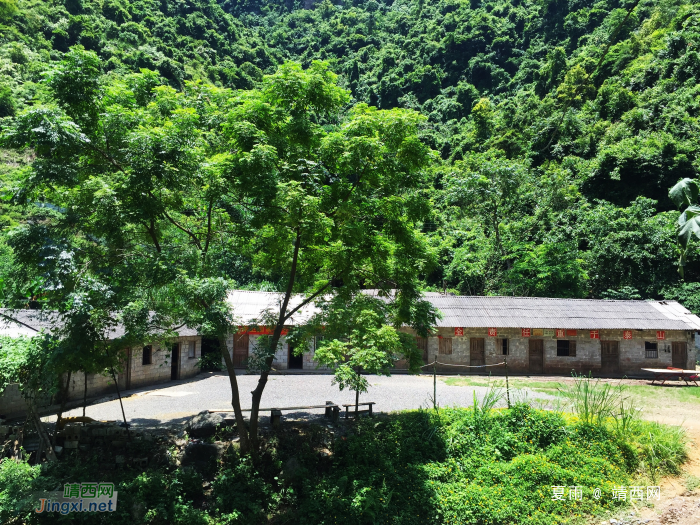 寂静的山里：群蝉越噪林逾静，一鸟不鸣山更幽。 - 靖西网