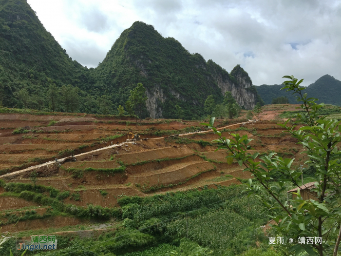 别的地方是退耕还林，这个地方却开荒造地。 - 靖西网