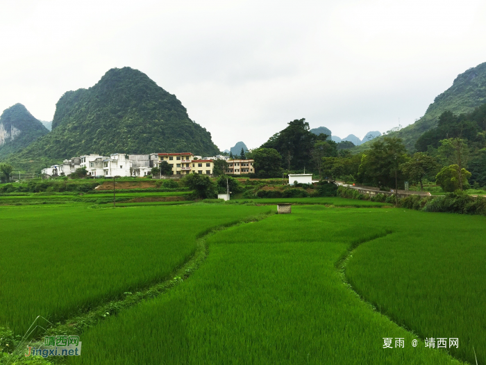 绿色的家园,美丽的乡村。 - 靖西网 绿色的家园,美丽的乡村。 - 靖西网