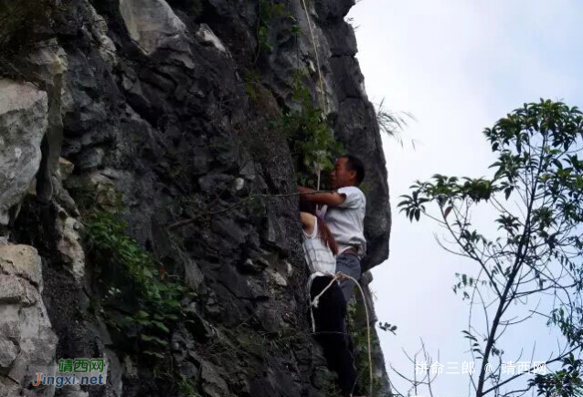 靖西市新靖镇崇德村一女子爬上七十米高的峭壁上欲轻生 - 靖西网