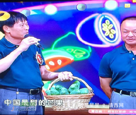 原来中国最甜的芒果产自广西百色田东！ - 靖西网