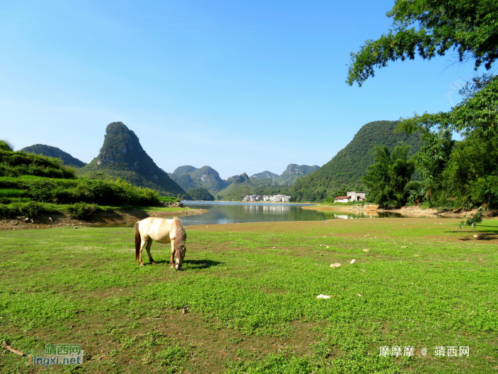 水波粼粼荷皎洁，朋怀湖边有美景。 - 靖西网