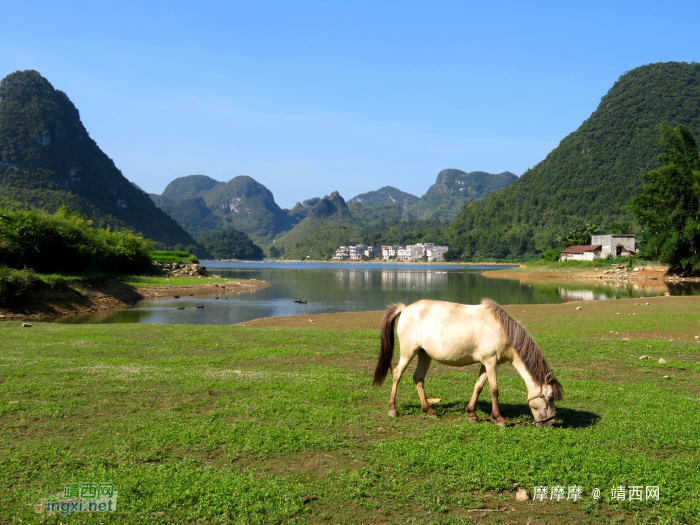 水波粼粼荷皎洁，朋怀湖边有美景。 - 靖西网