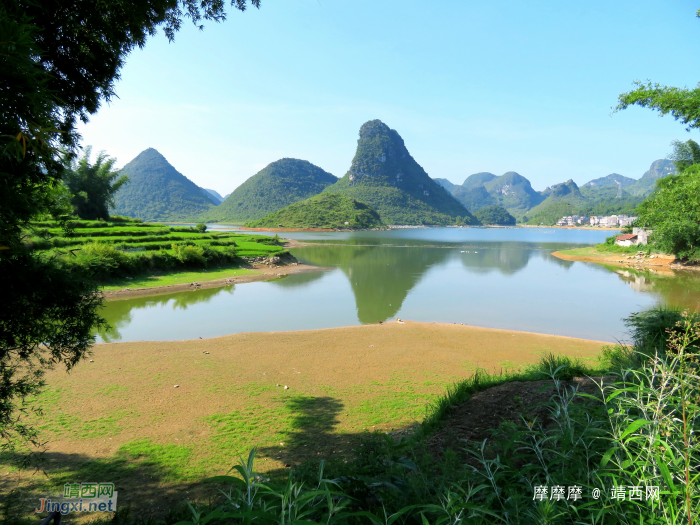 水波粼粼荷皎洁，朋怀湖边有美景。 - 靖西网