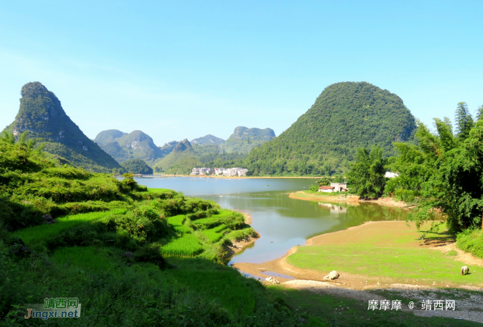 水波粼粼荷皎洁，朋怀湖边有美景。 - 靖西网