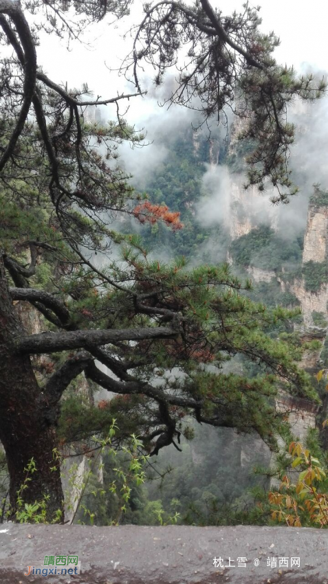 和同事的张家界上山下海游记 - 靖西网