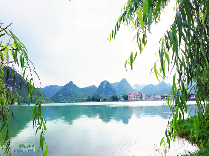 又拍龙潭：晨风轻轻雨细细，岸柳青青水碧碧。 - 靖西网