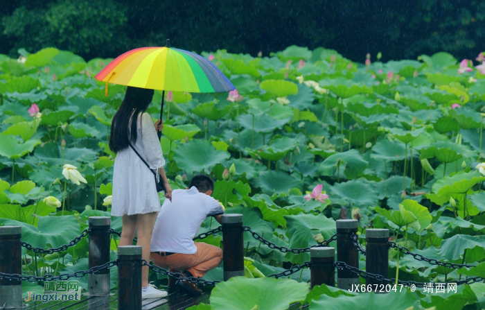 浪漫的雨季，总是让人向往和留恋 - 靖西网