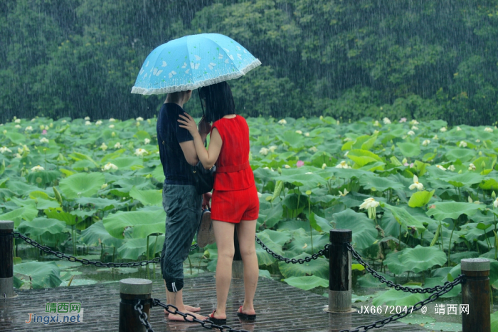 浪漫的雨季，总是让人向往和留恋 - 靖西网