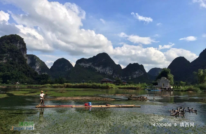 鹅泉 中国画卷，画中还有我有你有他有它！ - 靖西网