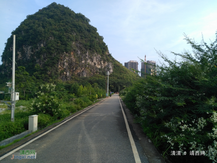 龙潭看山看水，今天看花！ - 靖西网