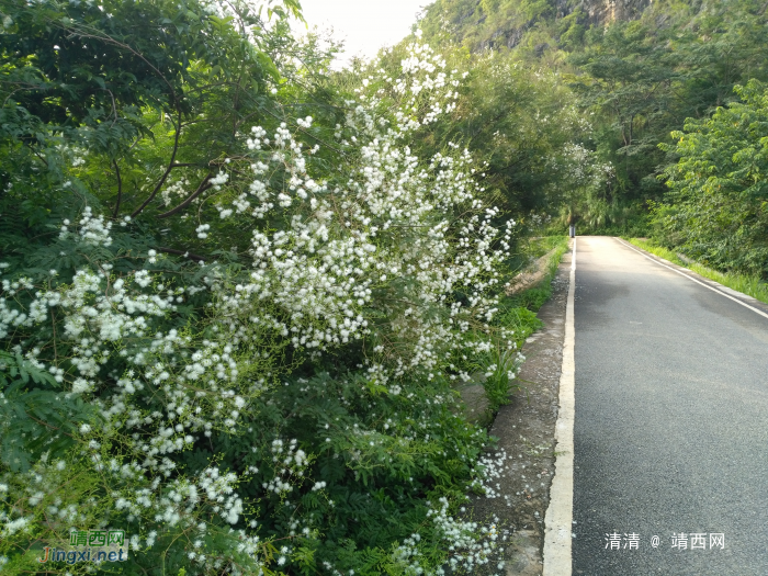 龙潭看山看水，今天看花！ - 靖西网