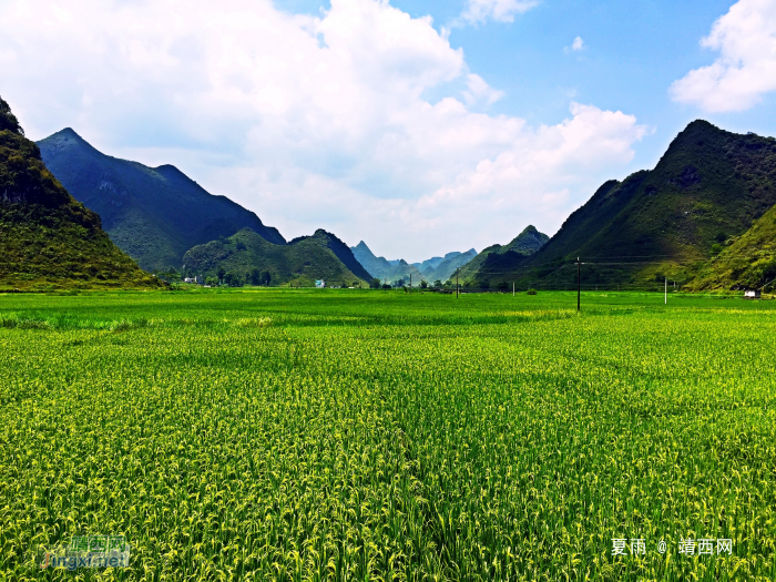 靖西二郎是一个古朴自然，山水秀丽、田园如画的小山村 - 靖西网