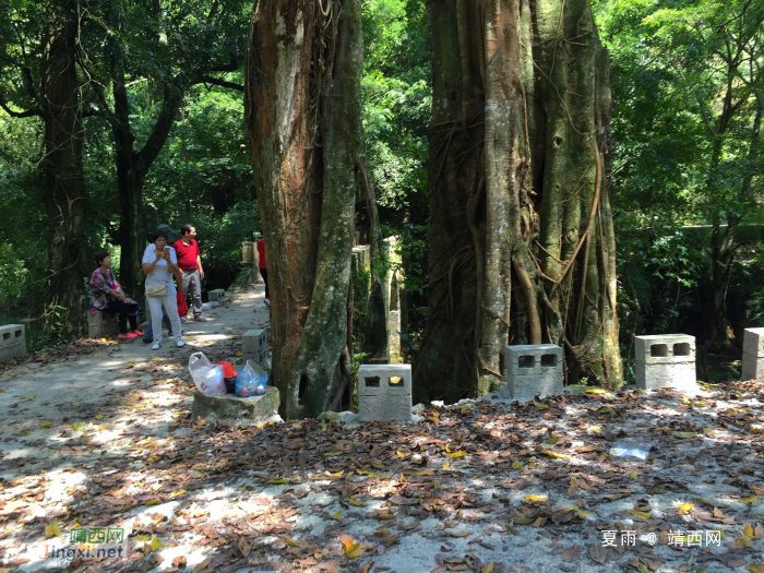 靖西二郎是一个古朴自然，山水秀丽、田园如画的小山村 - 靖西网