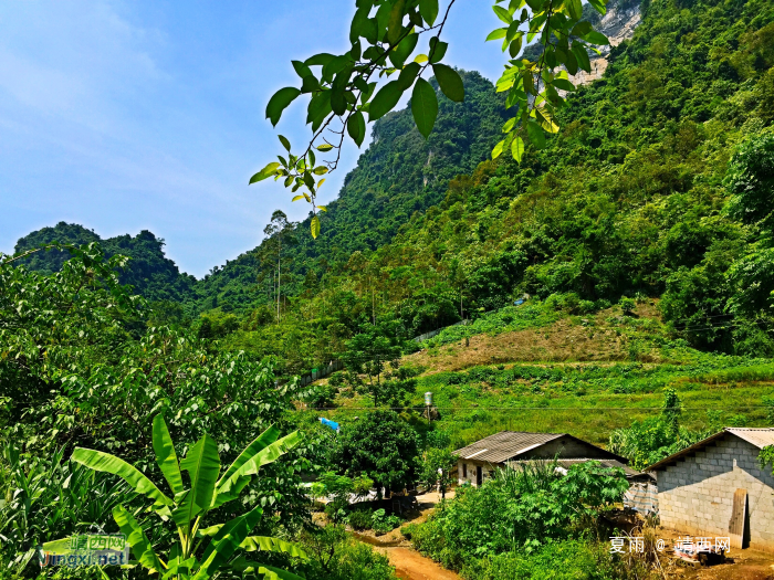 闲门向山路，林密啭鸟语。 - 靖西网