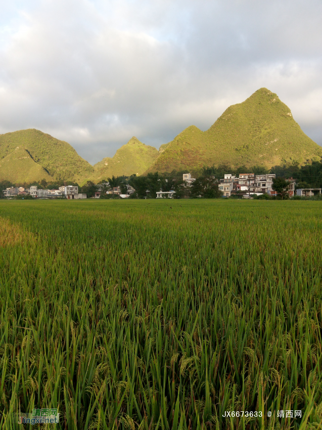 小山村掠影别有一番景象 - 靖西网