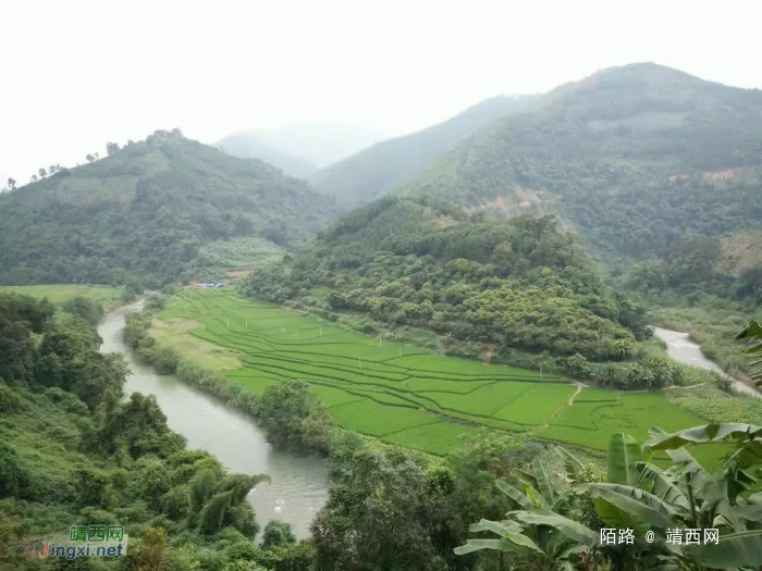 靖西乡村风景，美过画 - 靖西网