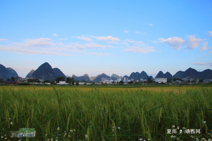 不经意之间，秋已至深，秋意又浓浓。天高風清，云烟满山间，金谷 - 靖西网