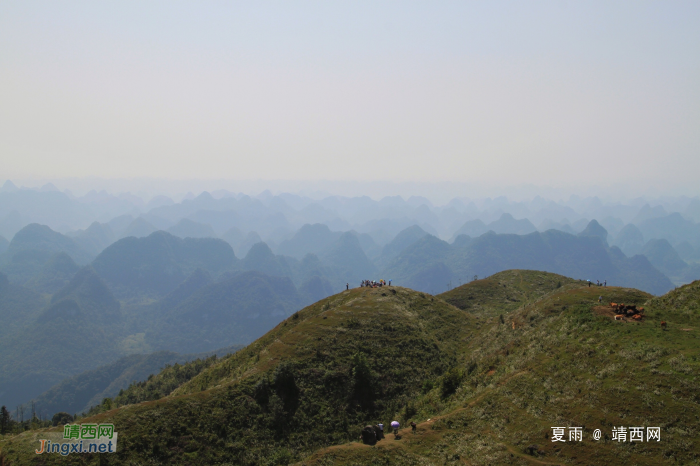 乌鸦山见闻——国庆长假体验美景如画的“乌鸦山” - 靖西网