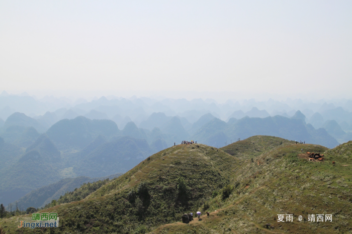 乌鸦山见闻——国庆长假体验美景如画的“乌鸦山” - 靖西网