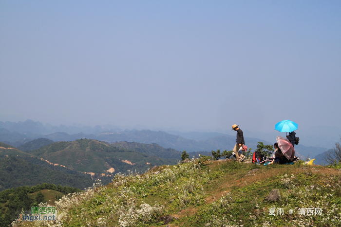 乌鸦山见闻——国庆长假体验美景如画的“乌鸦山” - 靖西网