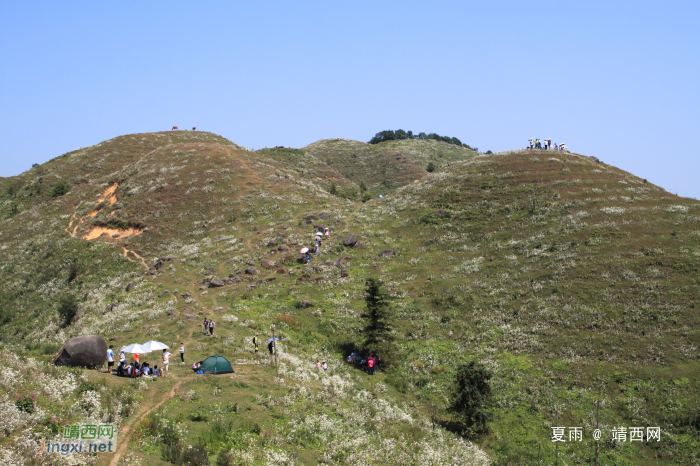 乌鸦山见闻——国庆长假体验美景如画的“乌鸦山” - 靖西网