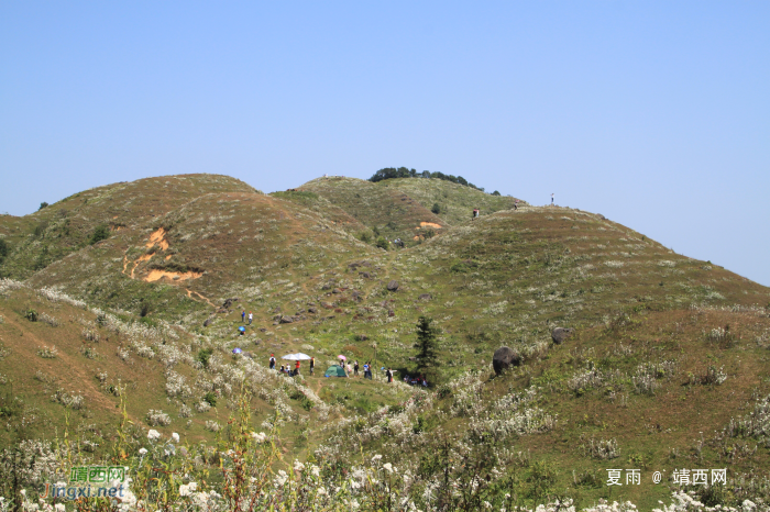 乌鸦山见闻——国庆长假体验美景如画的“乌鸦山” - 靖西网