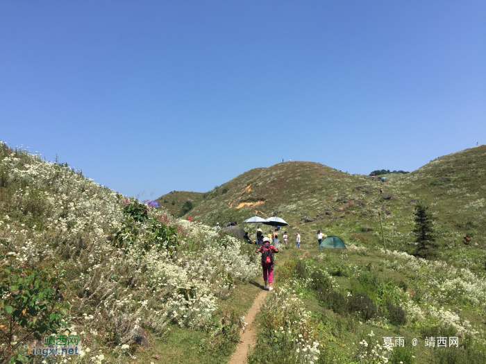 乌鸦山见闻——国庆长假体验美景如画的“乌鸦山” - 靖西网