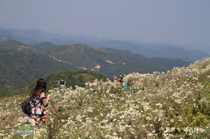 乌鸦山见闻——国庆长假体验美景如画的“乌鸦山” - 靖西网