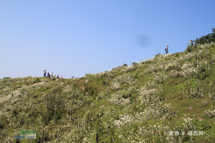 乌鸦山见闻——国庆长假体验美景如画的“乌鸦山” - 靖西网