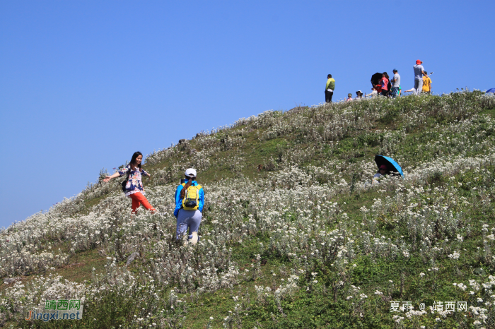 乌鸦山见闻——国庆长假体验美景如画的“乌鸦山” - 靖西网