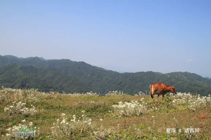 乌鸦山见闻——国庆长假体验美景如画的“乌鸦山” - 靖西网