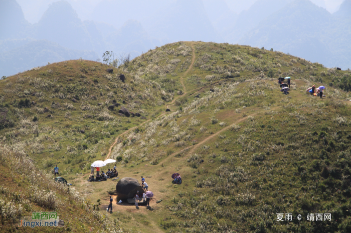 乌鸦山见闻——国庆长假体验美景如画的“乌鸦山” - 靖西网