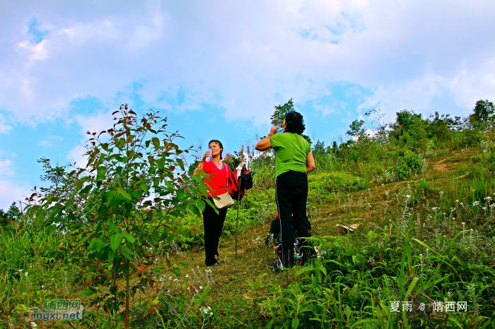 天降一座乌鸦山，高耸入云立长空。不怕浮云遮眼望，只缘身在最高. - 靖西网